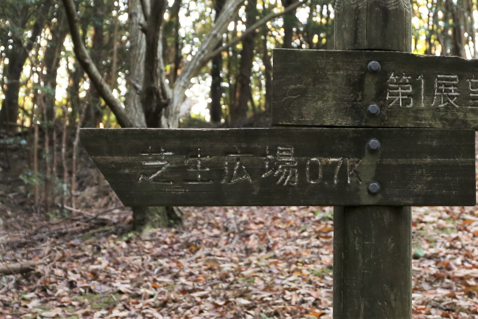 鳴鼓岳登山道芝生広場への案内看板