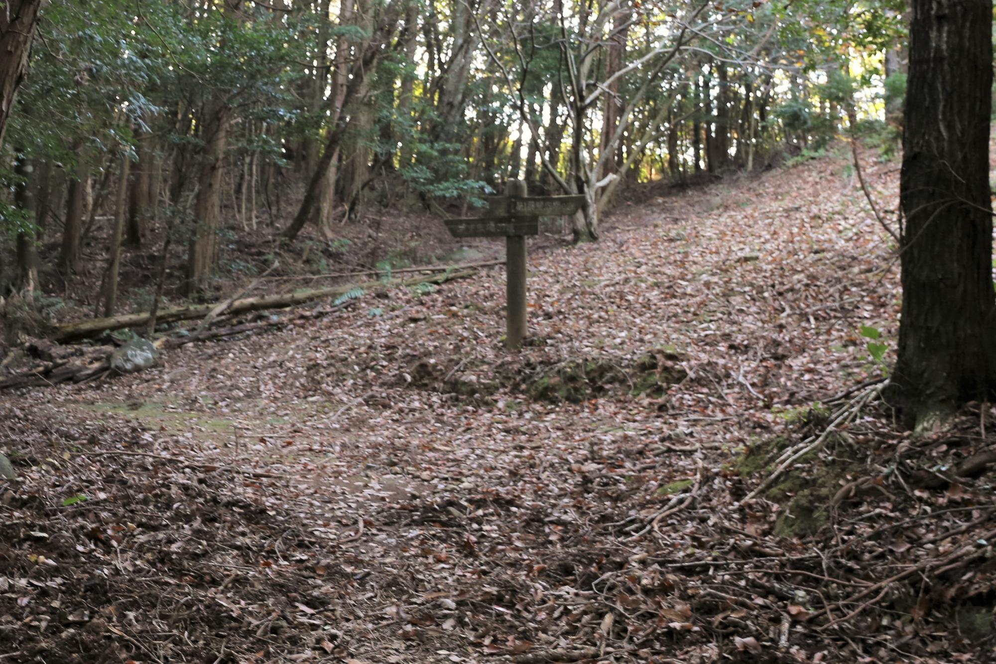 鳴鼓岳登山道の分岐点