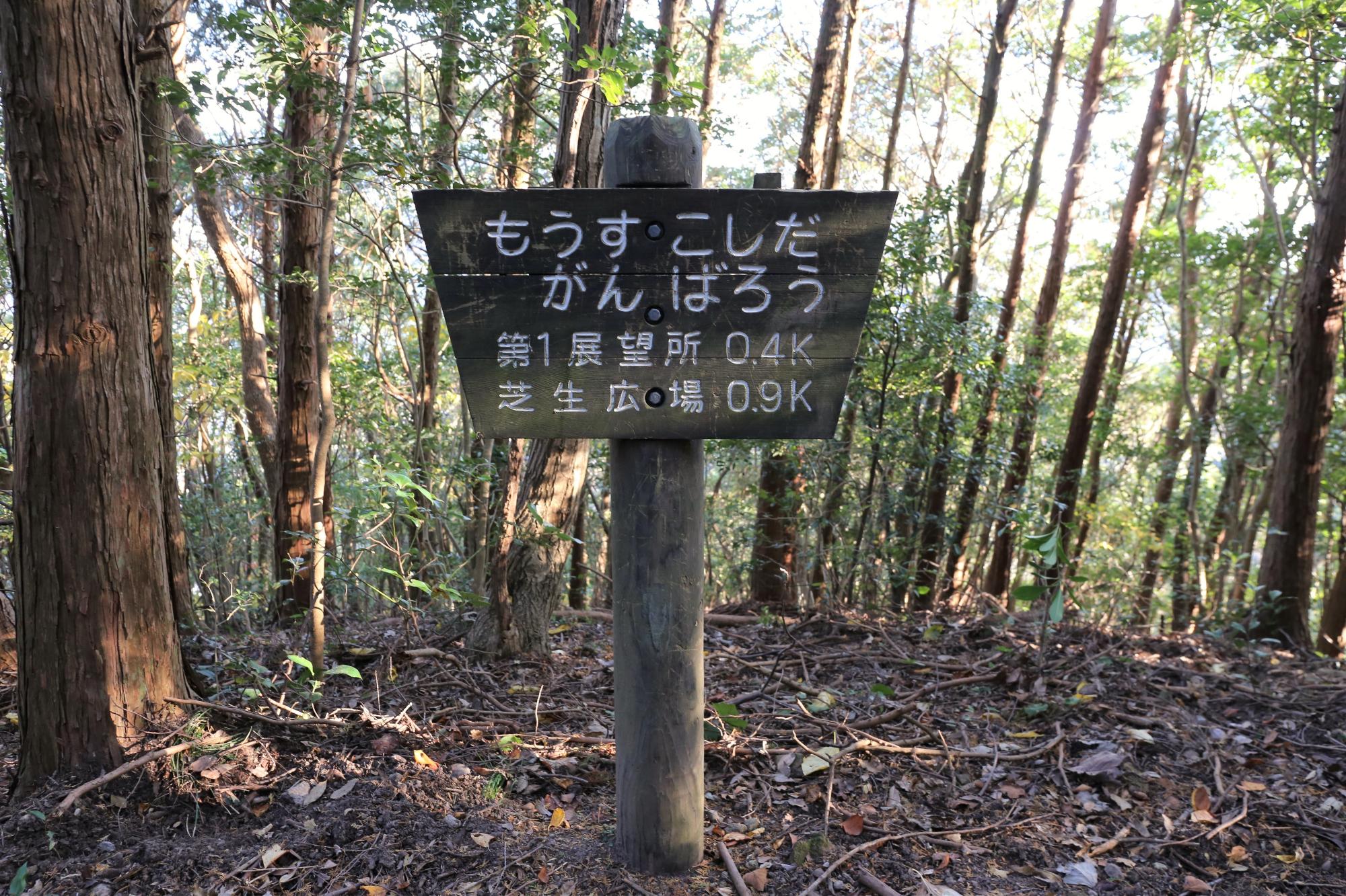 登山道での看板