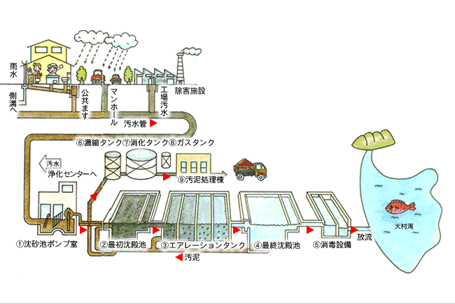 汚水の処理から放流までの過程を示したイラスト